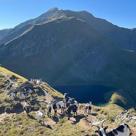 Διαμέρισμα Haus Holzer *