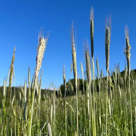 Haus Holzer Διαμέρισμα *