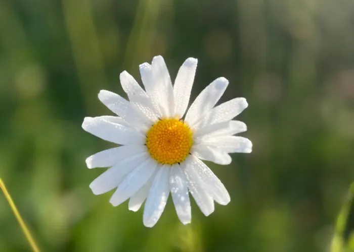 Haus Holzer Sankt Andrä im Lungau
